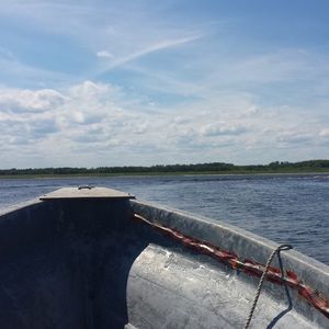 Meet your Posher, Gabby